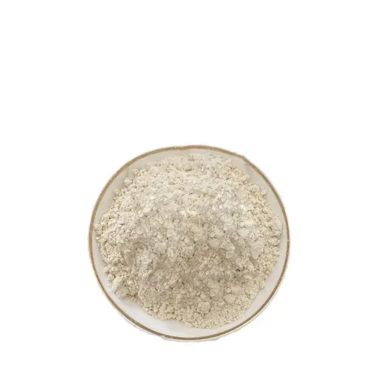 Fabrikpreis Reines Calciumhydroxylapatitpulver CAS 1306